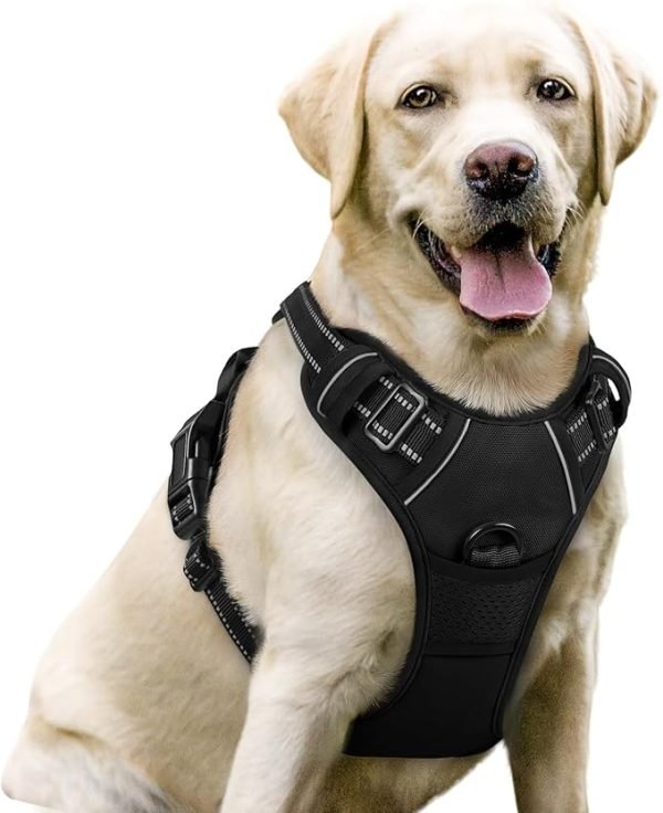 Dog Harness No Pull with 2 Leash Clips, Adjustable Soft Padded, Reflective Oxford No Choke Pet Vest with Easy Control Handle for Large Dogs, Black, M