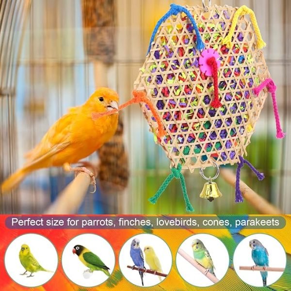Bird Parrot Toys，2 Pack Bird Hanging Foraging Shredder Toys for Small Medium Small Bird Conure Cockatiel Parrotlet Lovebird Budgie - Image 7